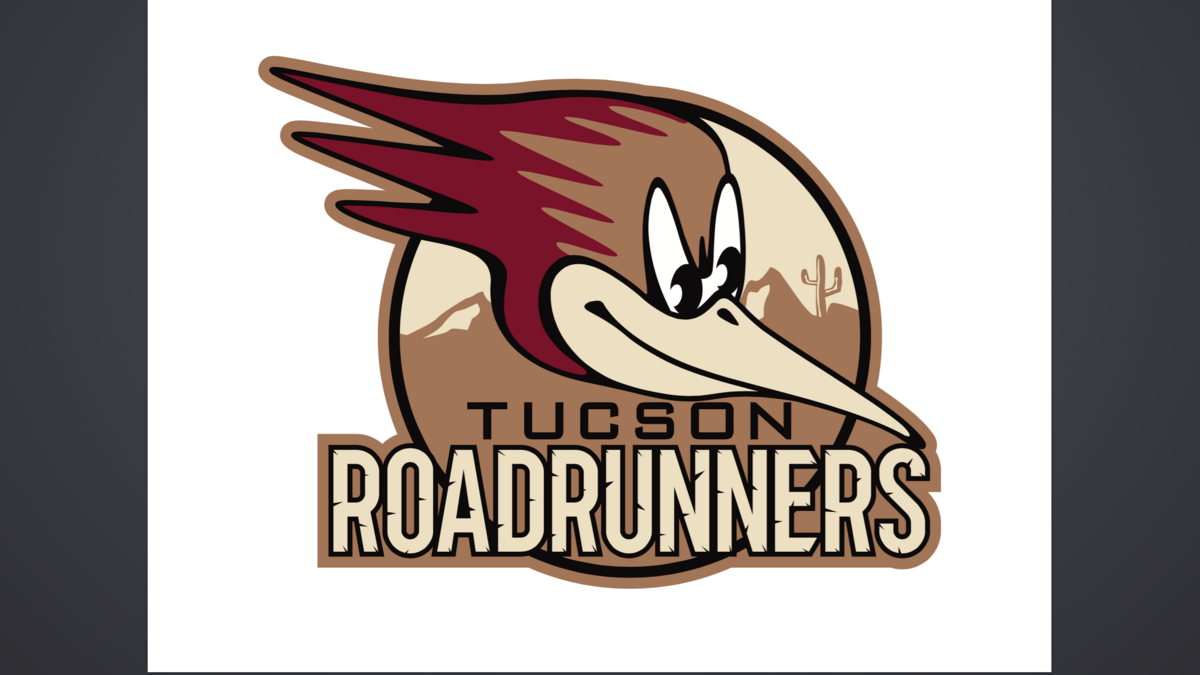 Roadrunners return to Arizona hockey Phoenix Business Journal