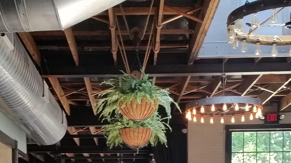 Standard Hall newest Corso Short North venture, but won't be last