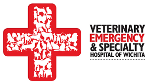 veterinary emergency and specialty hospital