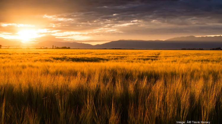 Colorado has more than 36,000 farms encompassing 32 million acres.