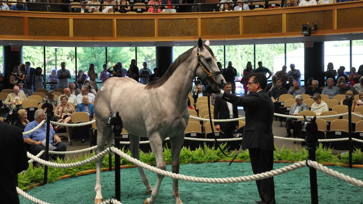 FasigTipton's Saratoga Springs, NY thoroughbred sales finish strong as