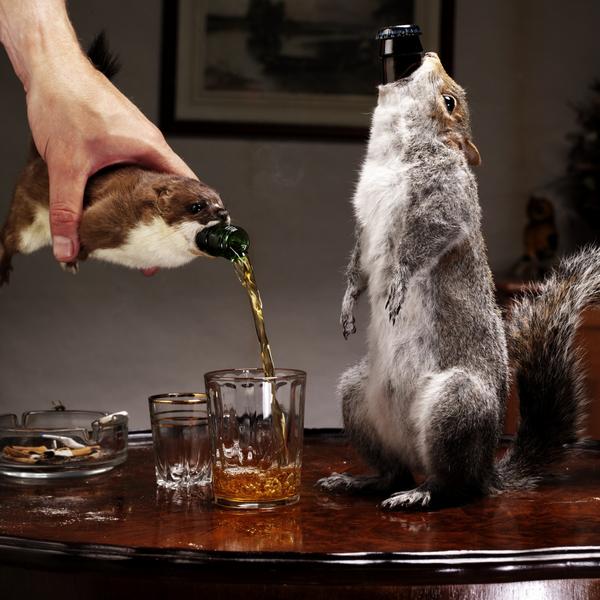 brewdog-the-end-of-history-2*600xx1988-1988-182-0.jpg