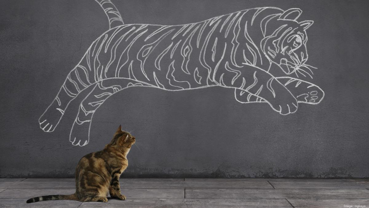 How to use a visual approach to solving problems - The Business Journals image.