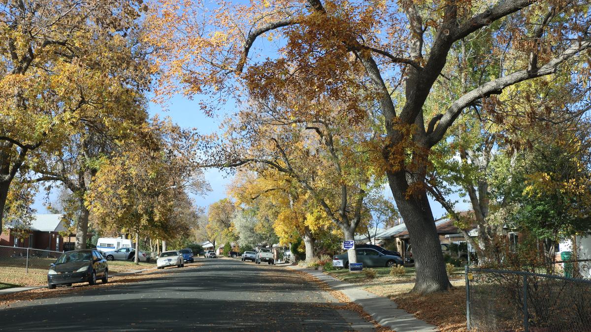 DBJ & 9News 9Neighborhoods Aurora's Hoffman Heights traces roots to