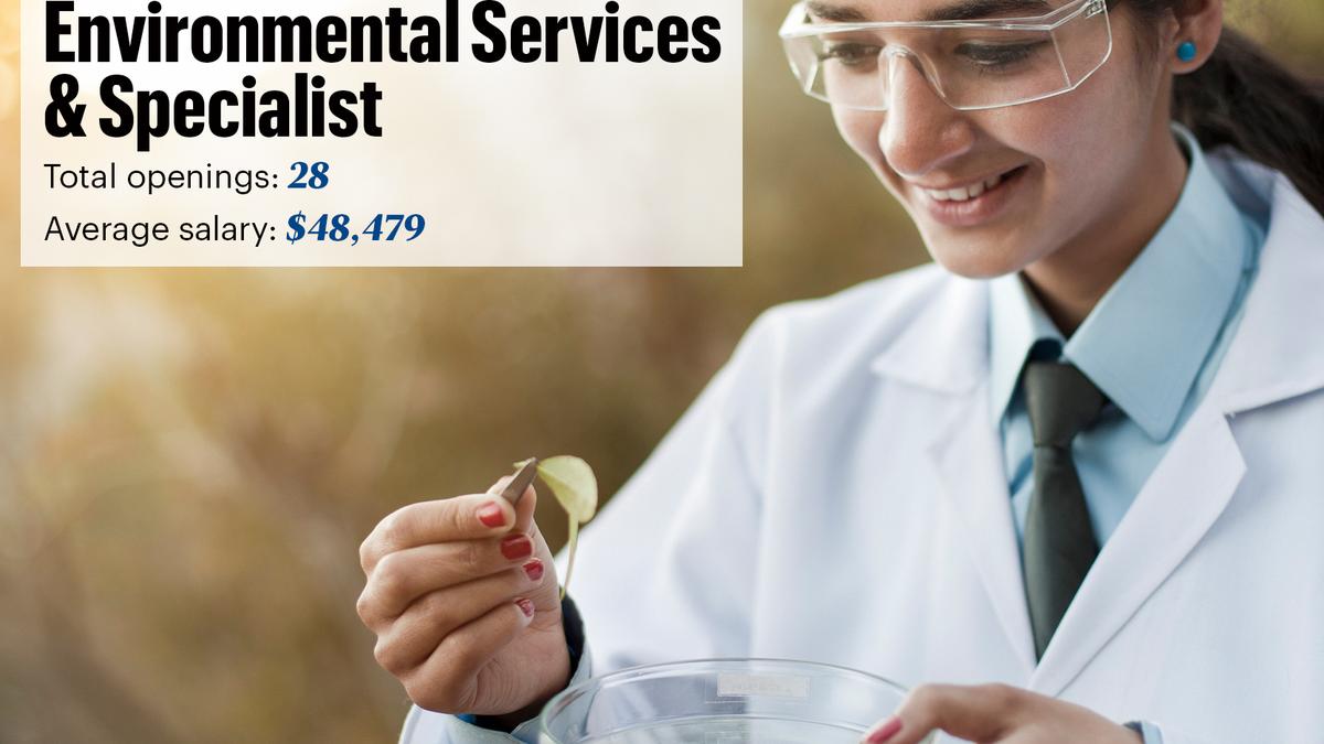 The state of New Mexico has thousands of vacant jobs, most above