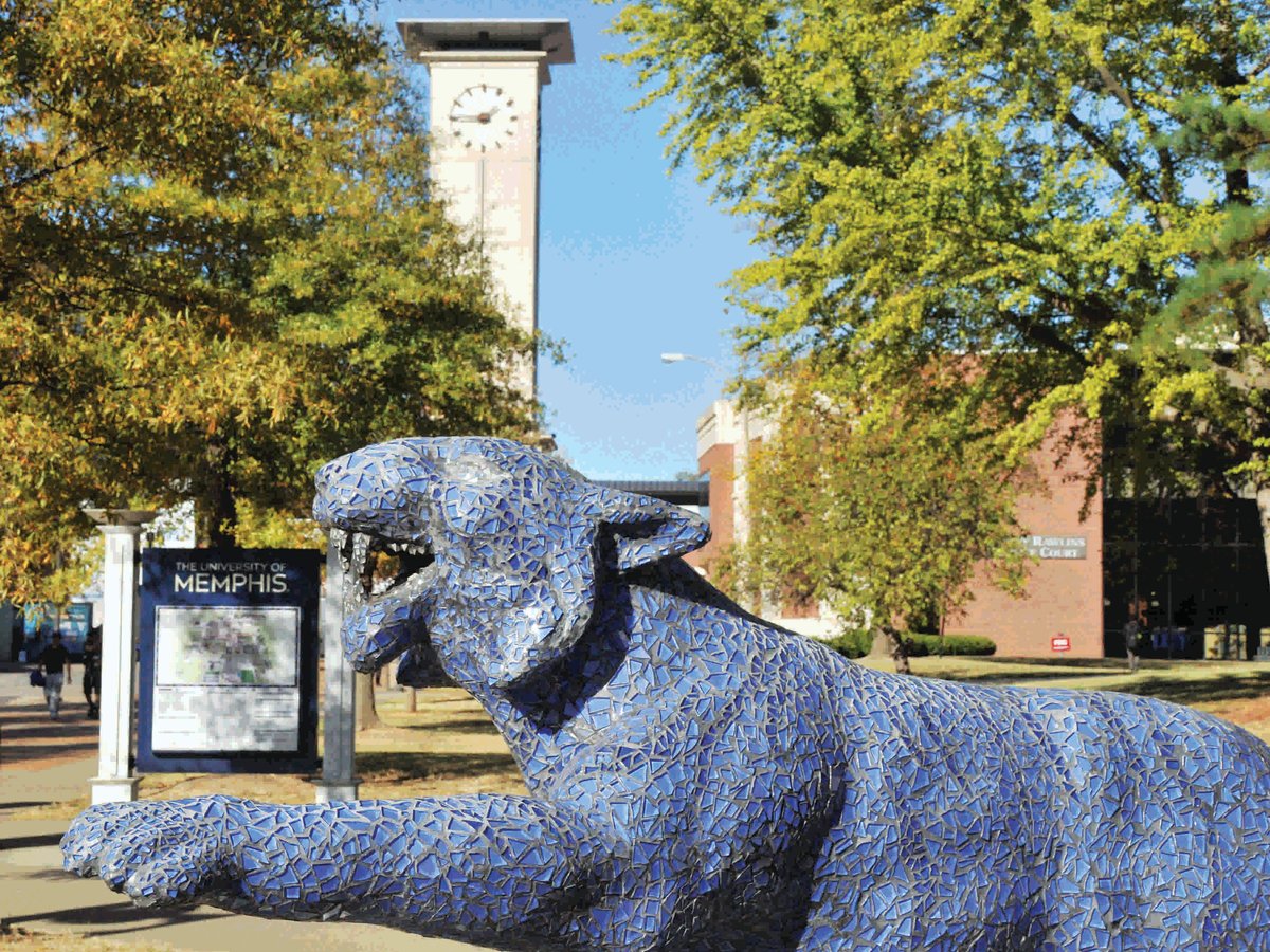 The University of Memphis/Tiger.LIFE