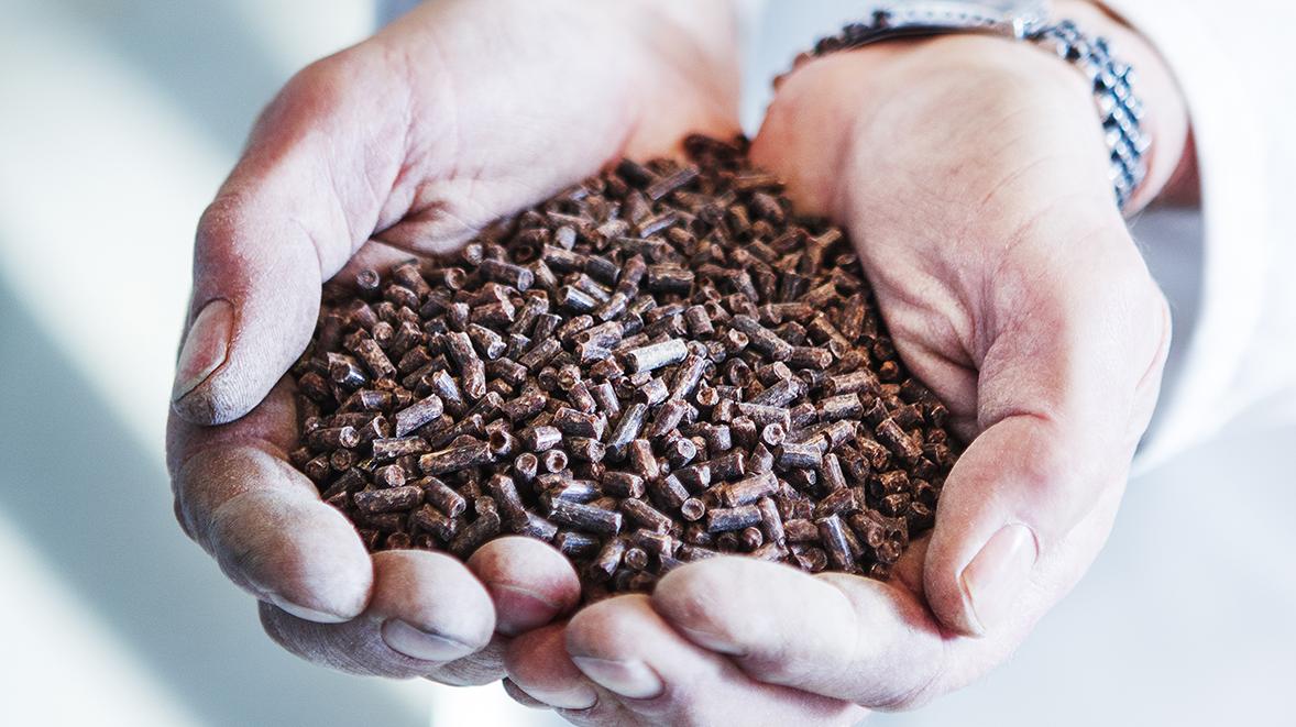 Cargill to open new Memphis plant, creating 160 jobs with