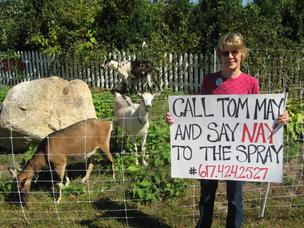 Cape activists call for NStar to use goats to trim company’s power lines (9/20/13)
