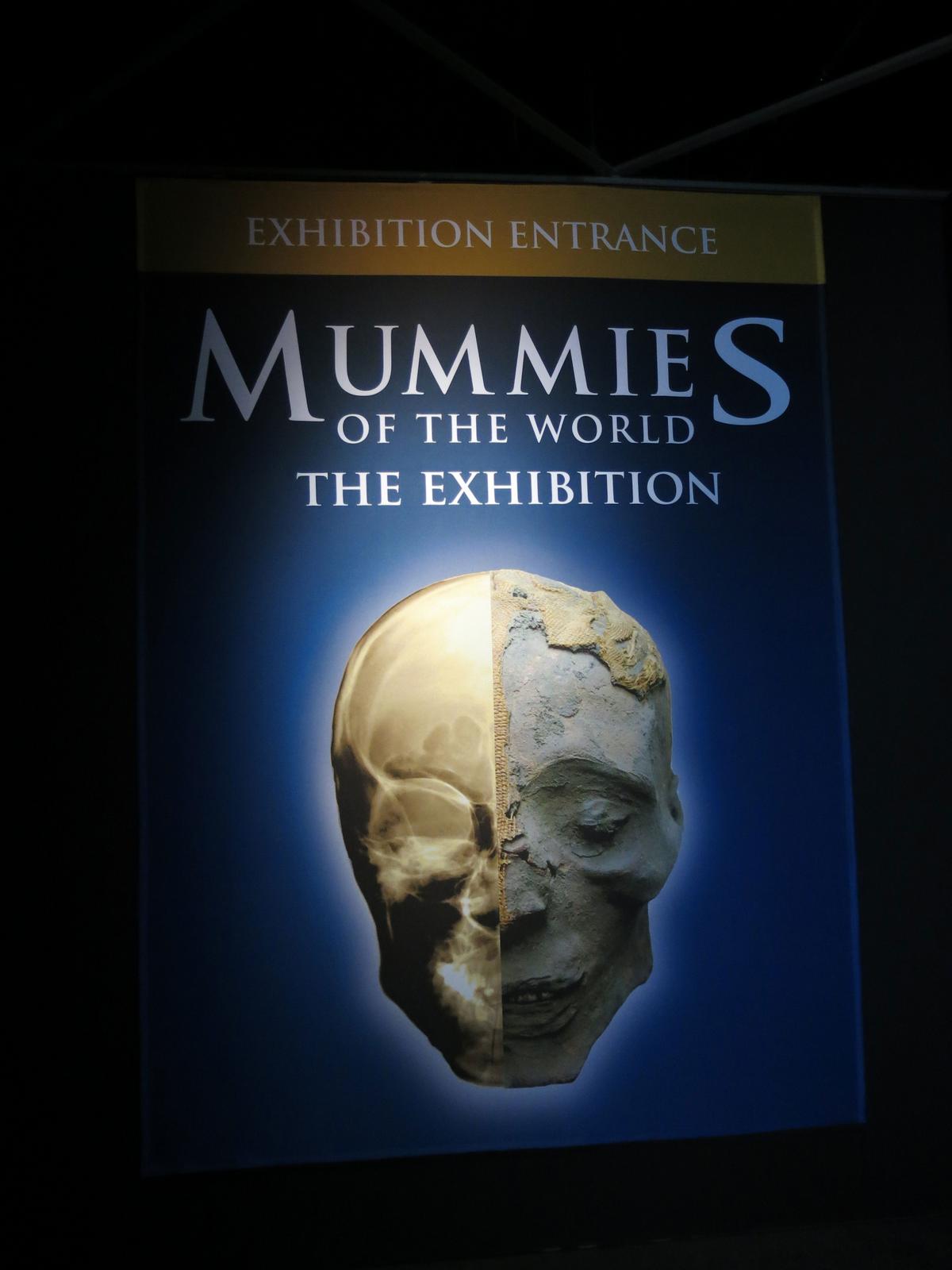 Inside the new Mummies of the World exhibit at the Maryland Science