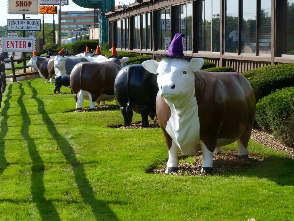 Where’s the beef? Cops on watch for Hilltop souvenir thieves Boston