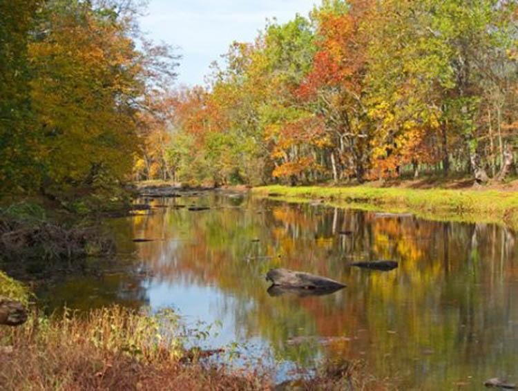 The wealthiest ZIP codes in Greater Philadelphia Philadelphia