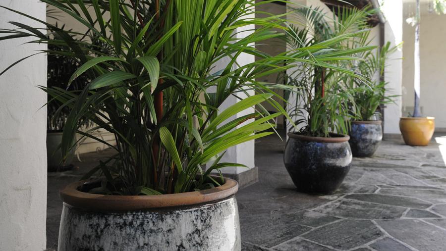 Henry McGalliard Design Associates expanding offerings with nursery