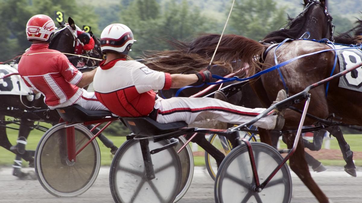 Pennsylvania Harness Racing Commission limits use of whip in harness