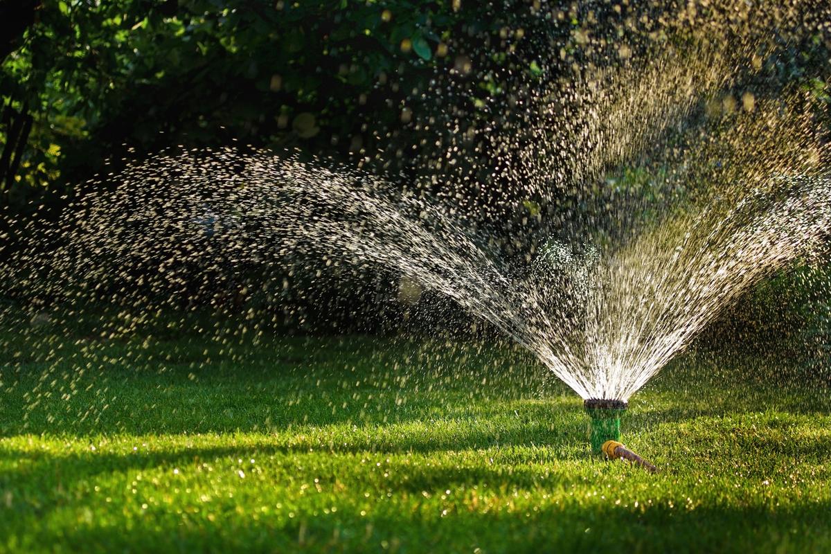 Denver Water Delays Drought Pricing Denver Business Journal