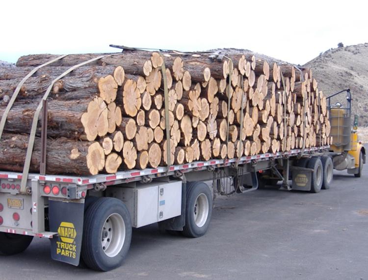 A purpose for underappreciated Oregon wood Portland Business Journal