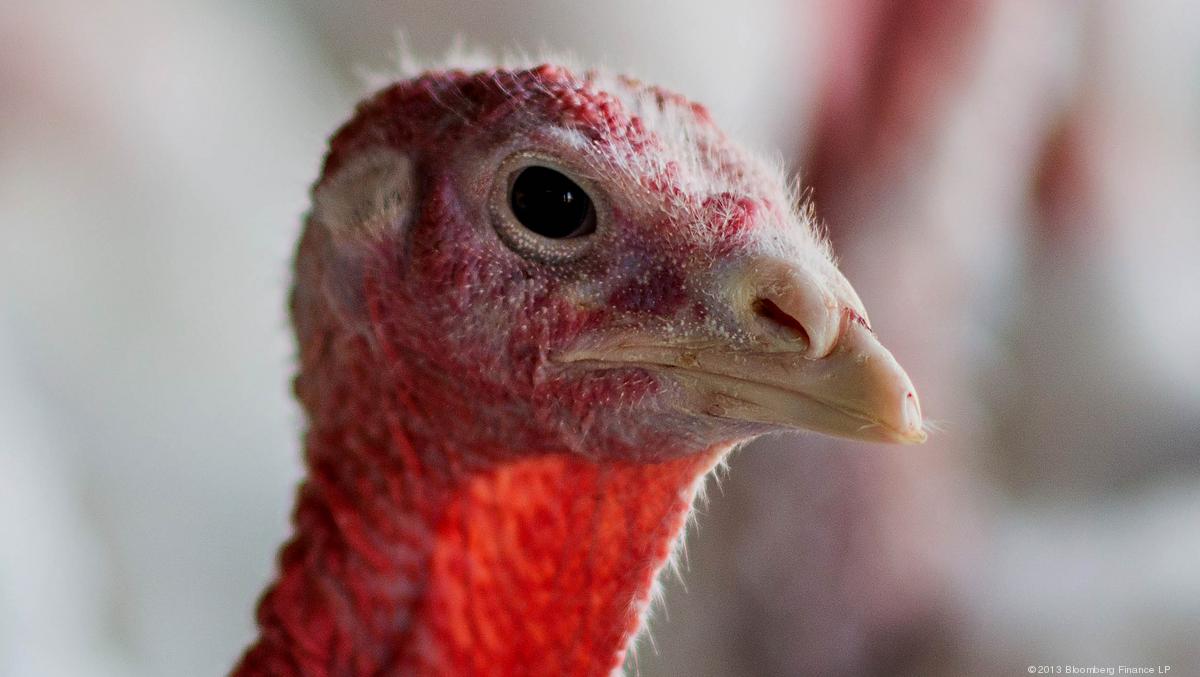 Bird flu's ripple effect: Every 100 jobs lost cost 110 more, study says -  Minneapolis / St. Paul Business Journal