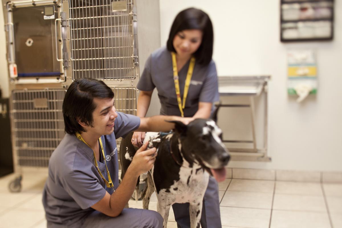 Carrington College open house set for Jan. 7 Phoenix Business Journal