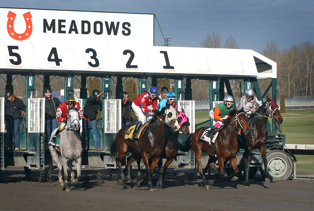 Portland Meadows gets creative to keep racing alive (Photos) Portland