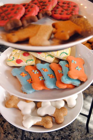 Woof Gang Bakery & Grooming to open in Wichita - Wichita Business Journal