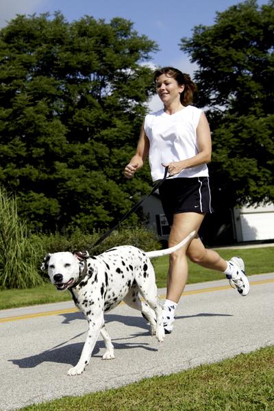 can a dog run a marathon