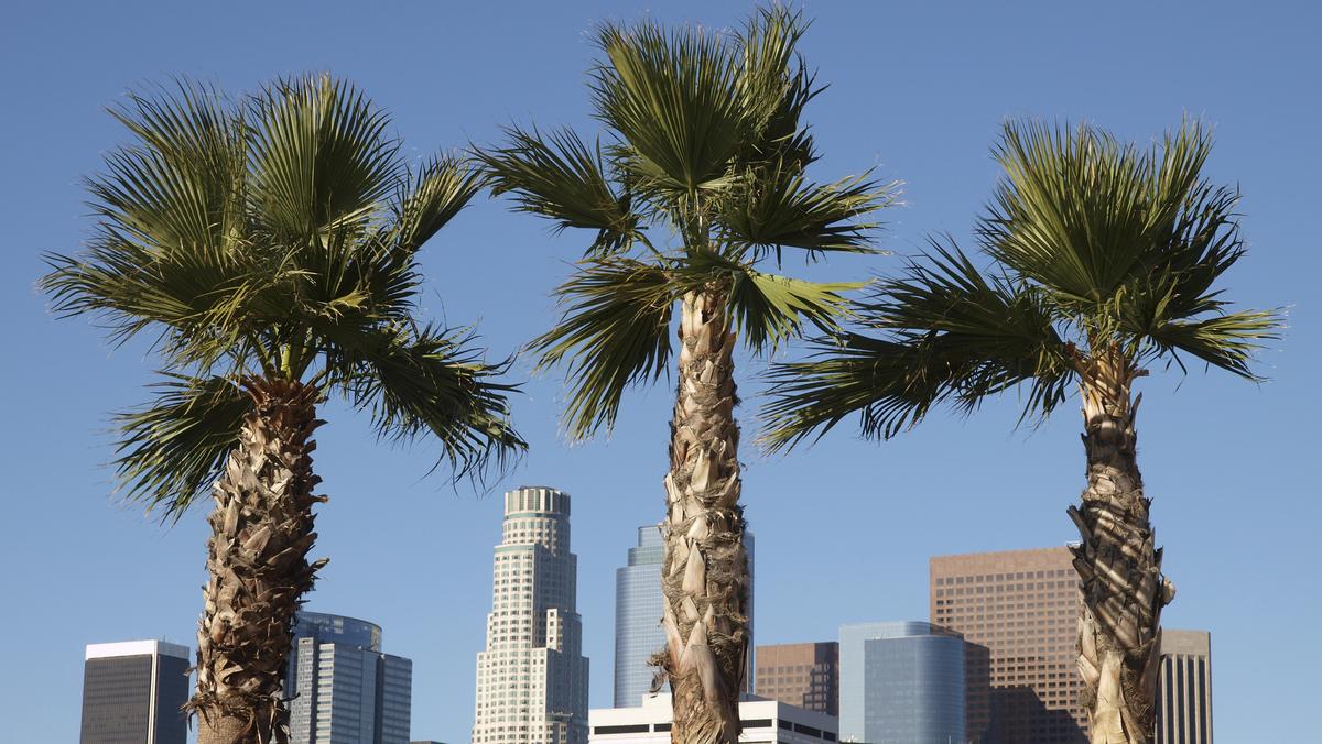 Los Angeles ranks high for small business vitality L.A. Business First