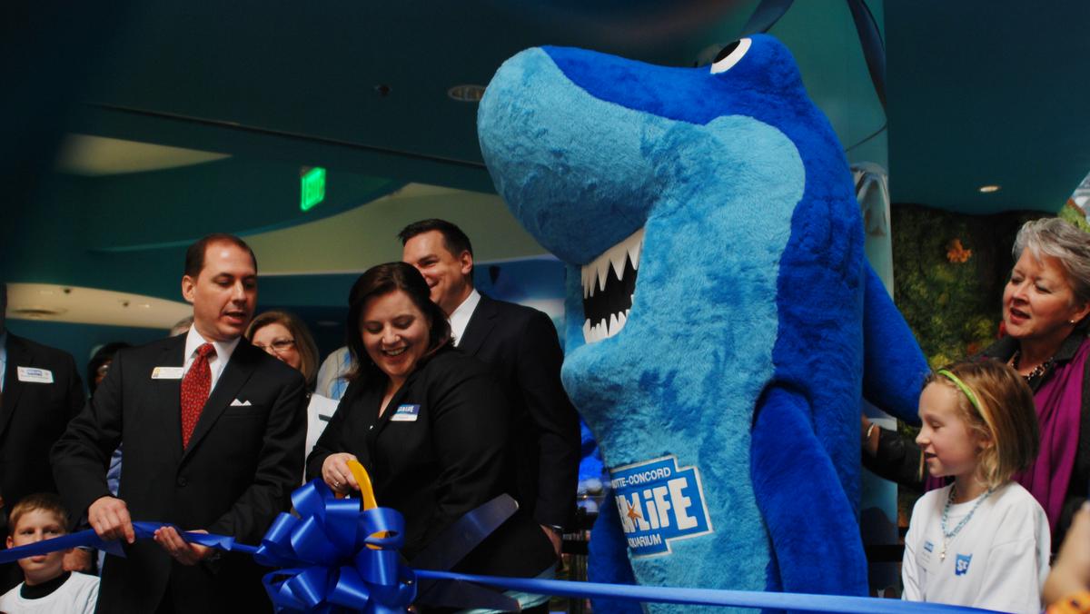 Sea Life opens Concord aquarium with talk of tourism, jobs (PHOTOS