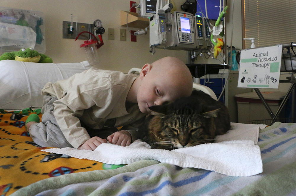Meet the dogs and cats that help heal sick Portland kids (Photos) -  Portland Business Journal