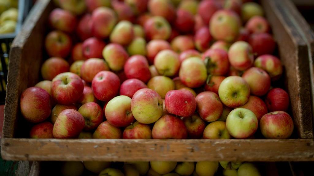 Sprouts Farmers Market coming to Lenexa Kansas City Business Journal