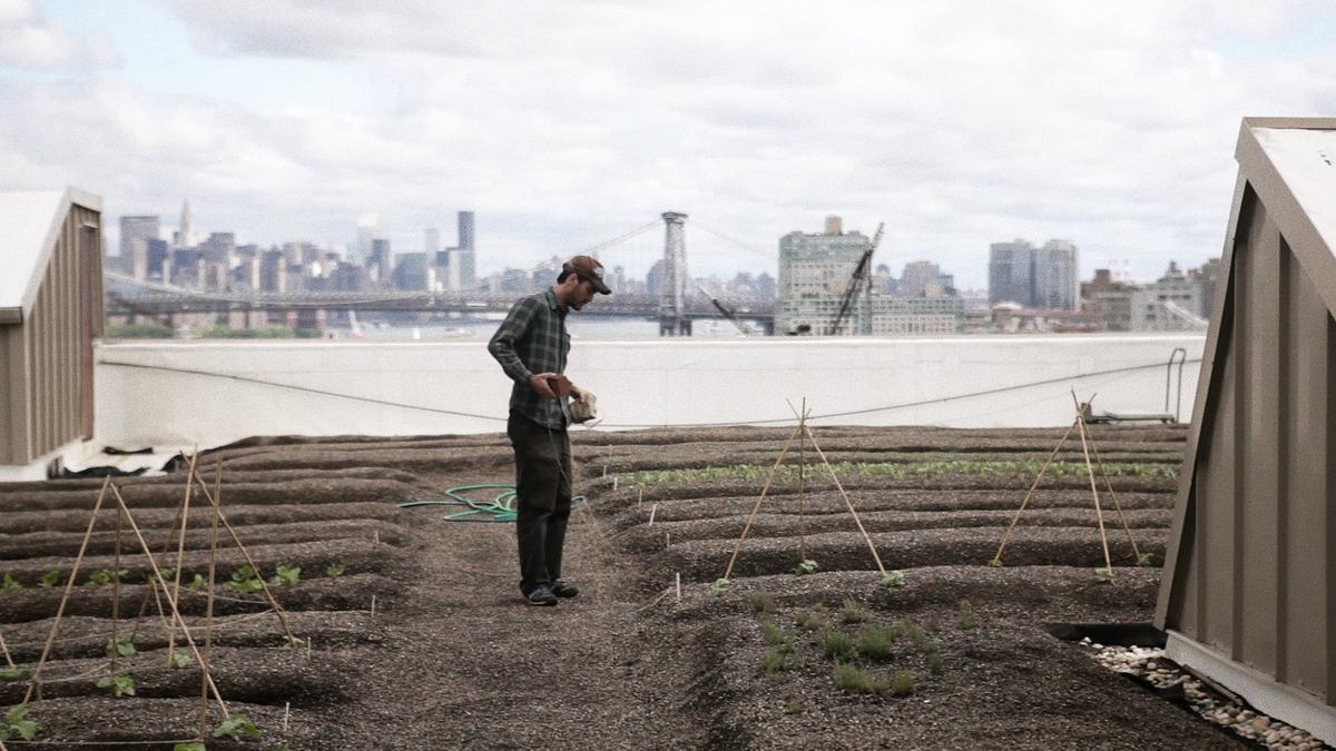 Orlando’s 1B agrihood agriculturalist’s responsibilities Orlando