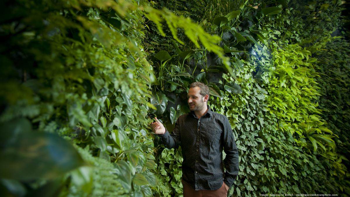 Peek at the living walls blooming in the Bay Area San Francisco