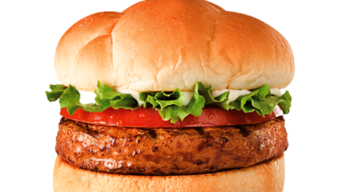 A Year After Emerging From Ch 11 Back Yard Burgers Showing