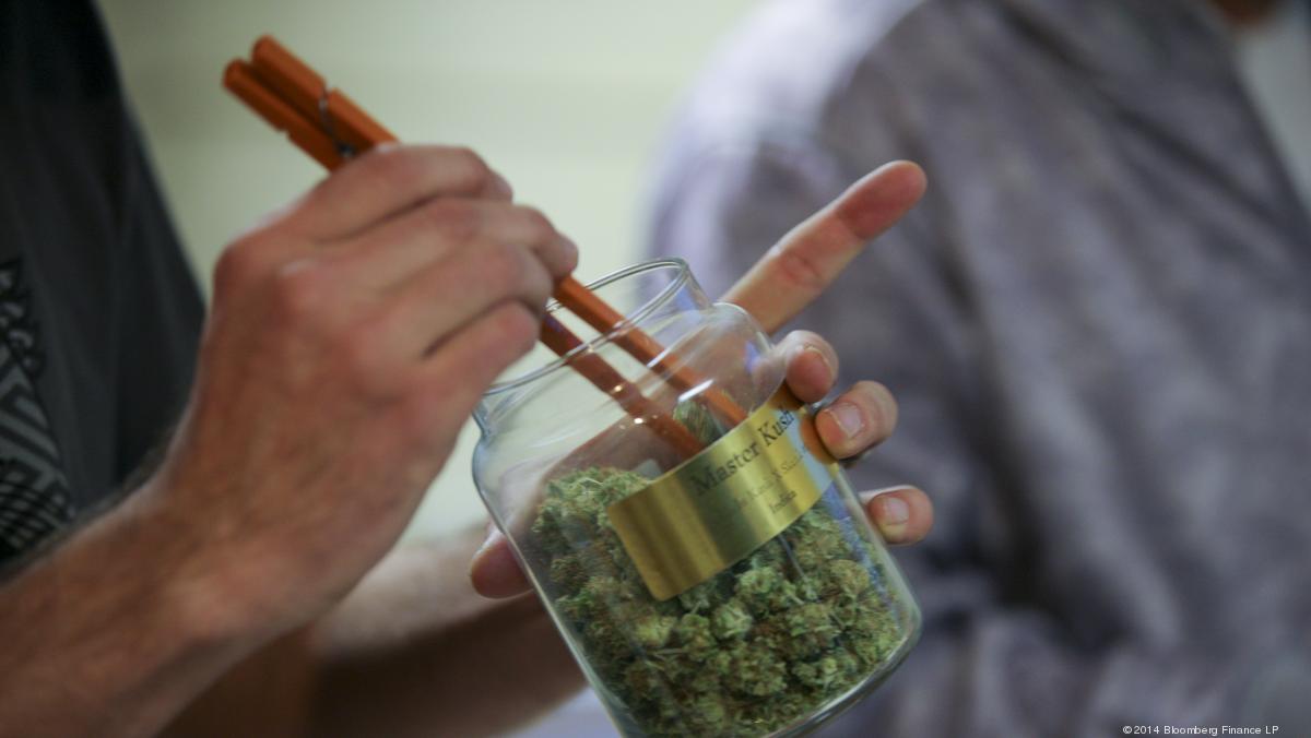 Florida Legalizes Medical Marijuana - South Florida Business Journal