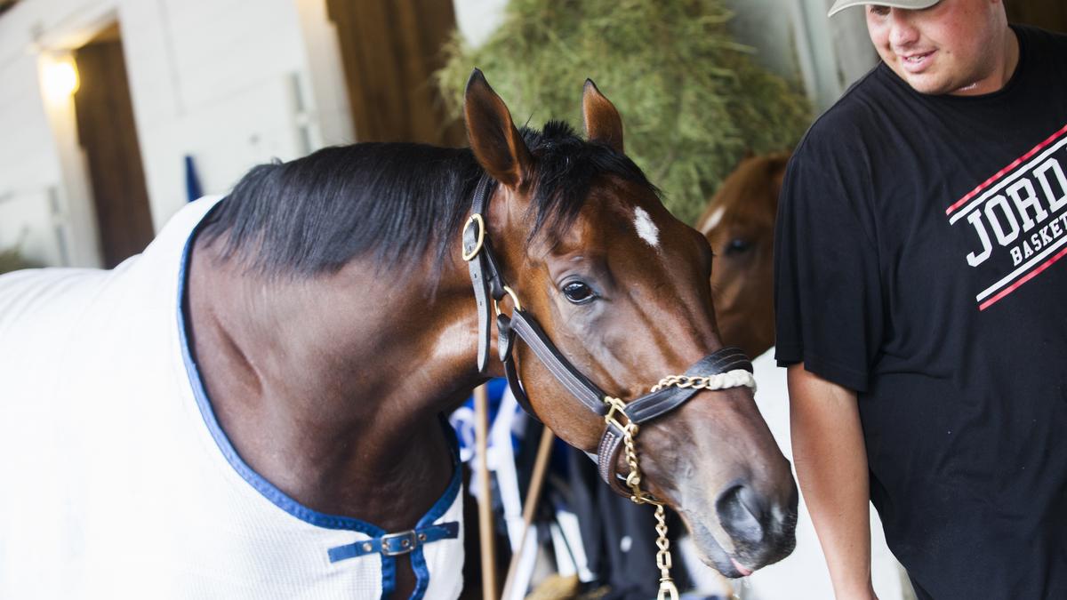 Horse owned by Beverly group to race in Kentucky Derby, owners will