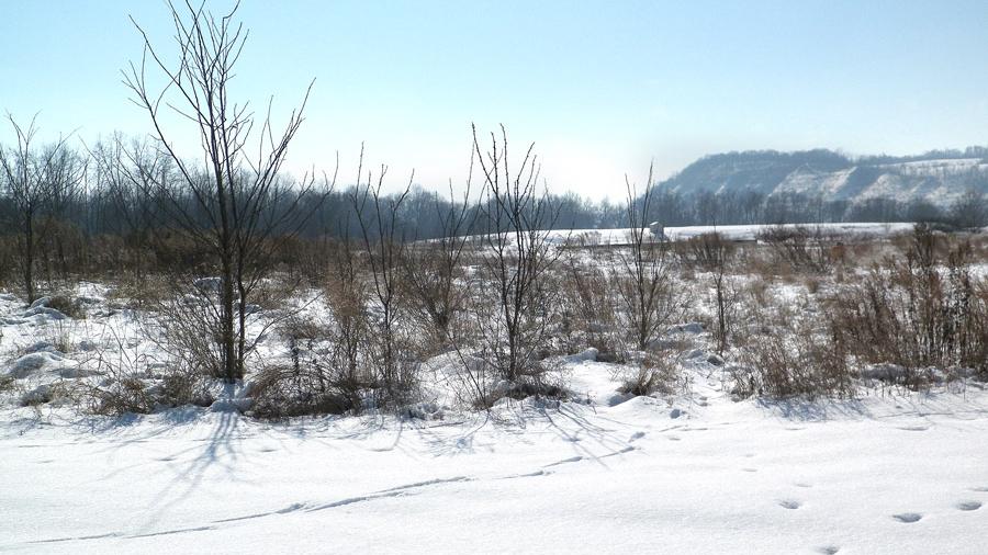 Moundsville Power LLC plant planned in West Virginia Pittsburgh