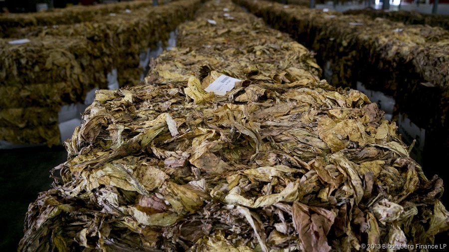 Raleigh tobacco cooperative expanding production plant for tobacco and  cigarettes