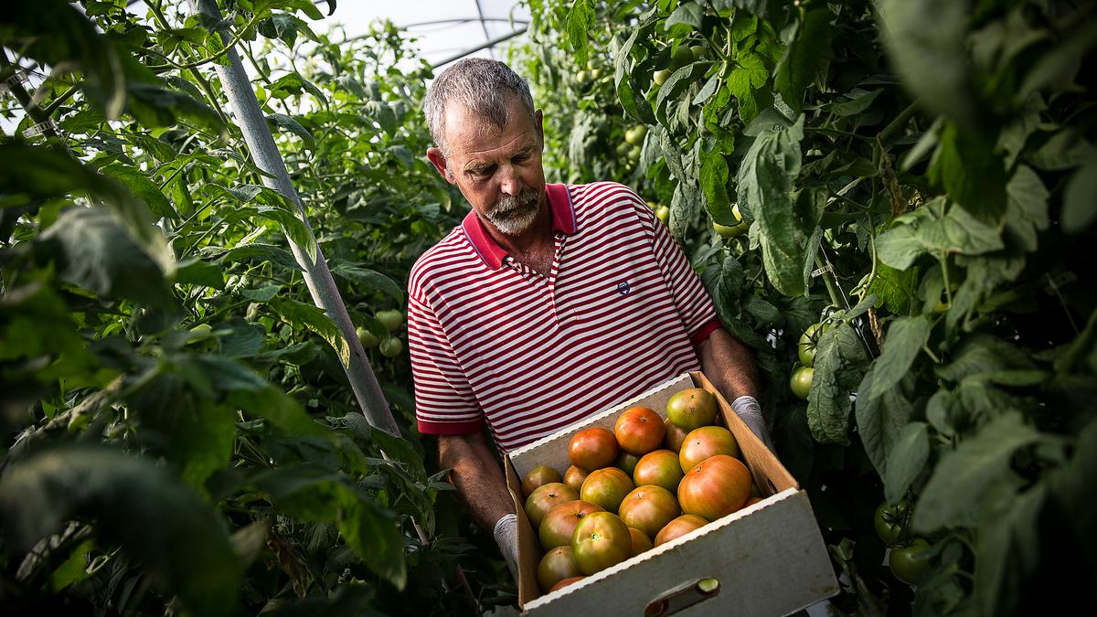 Food Hubs Sprout Up in N.C. Triangle Business Journal