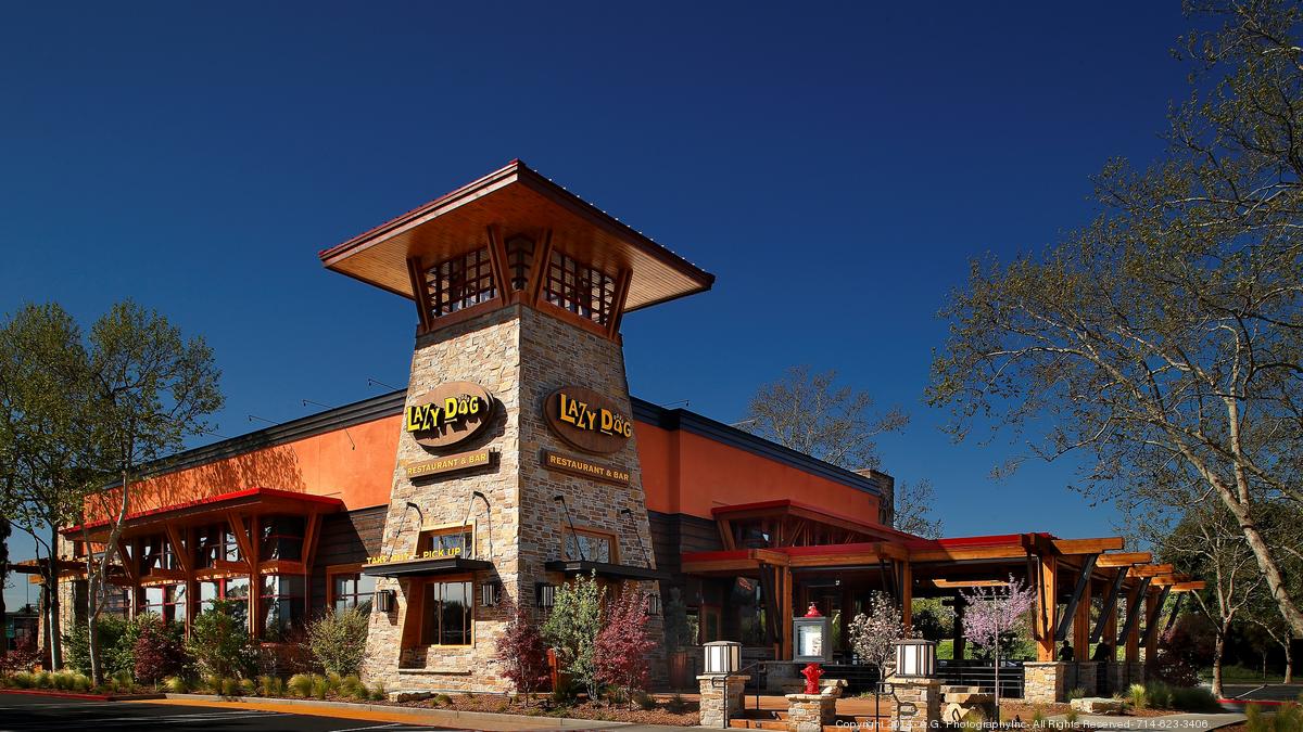 Where Did Lazy Dog Restaurant Originate