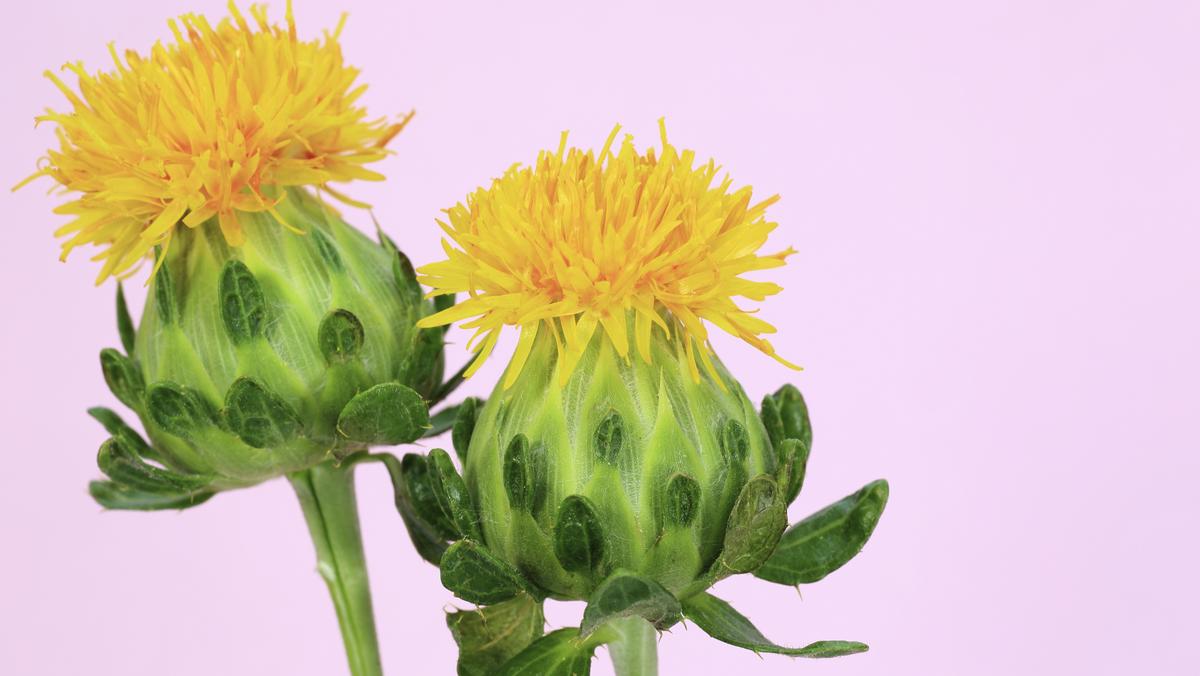 Arcadia Biosciences GMO safflower oil product has 55 percent omega6 fatty acid Sacramento