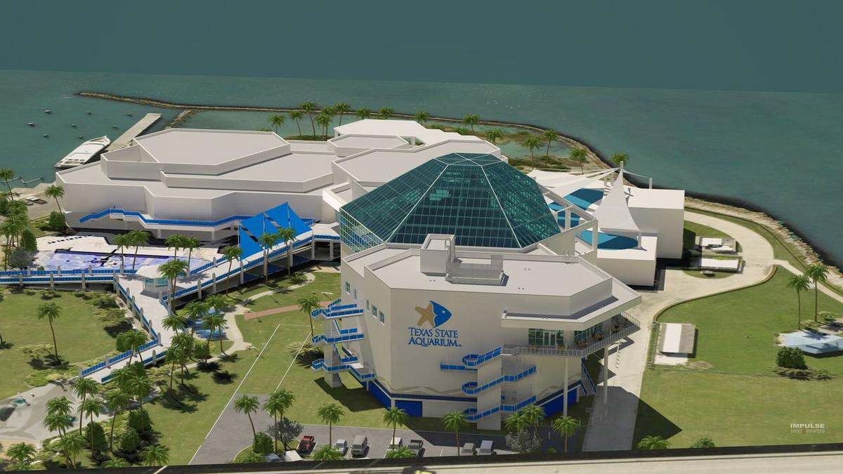 Texas State Aquarium set to undergo 50 million expansion San Antonio