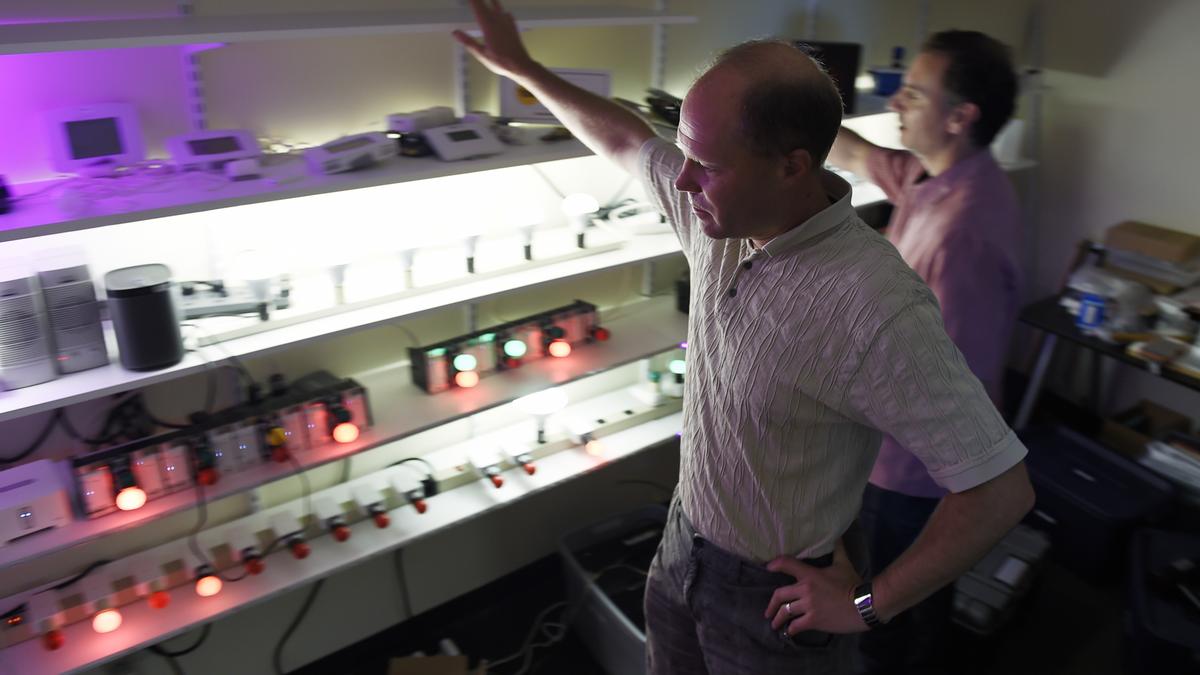 Nest, owned by Google’s parent company Alphabet, will end support for