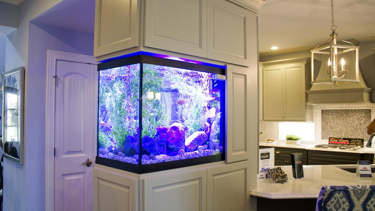 Aquarium among special features on display at Building Industry