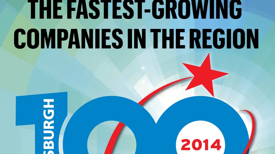 2014 Pittsburgh 100 No. 36. McKamish Inc. Pittsburgh Business Times