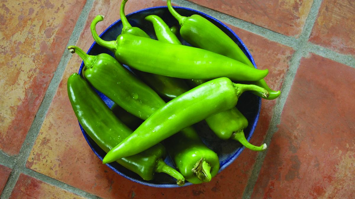 5 things you need to know today, and have you tried green chile in sushi yet? Albuquerque