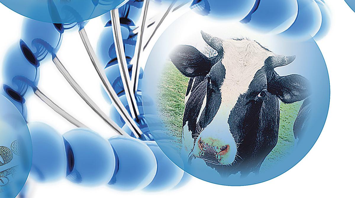 Patterson to pay 1.1B for Animal Health International Minneapolis