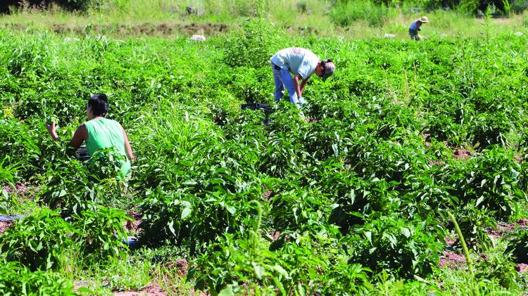 Urban plan Albuquerque New Mexico