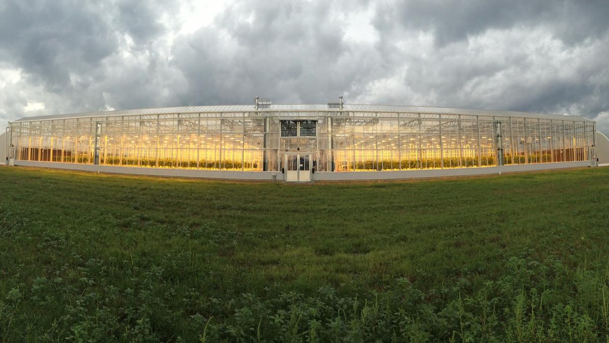 Bayer CropScience opens new Memphis greenhouse in Shelby Farms