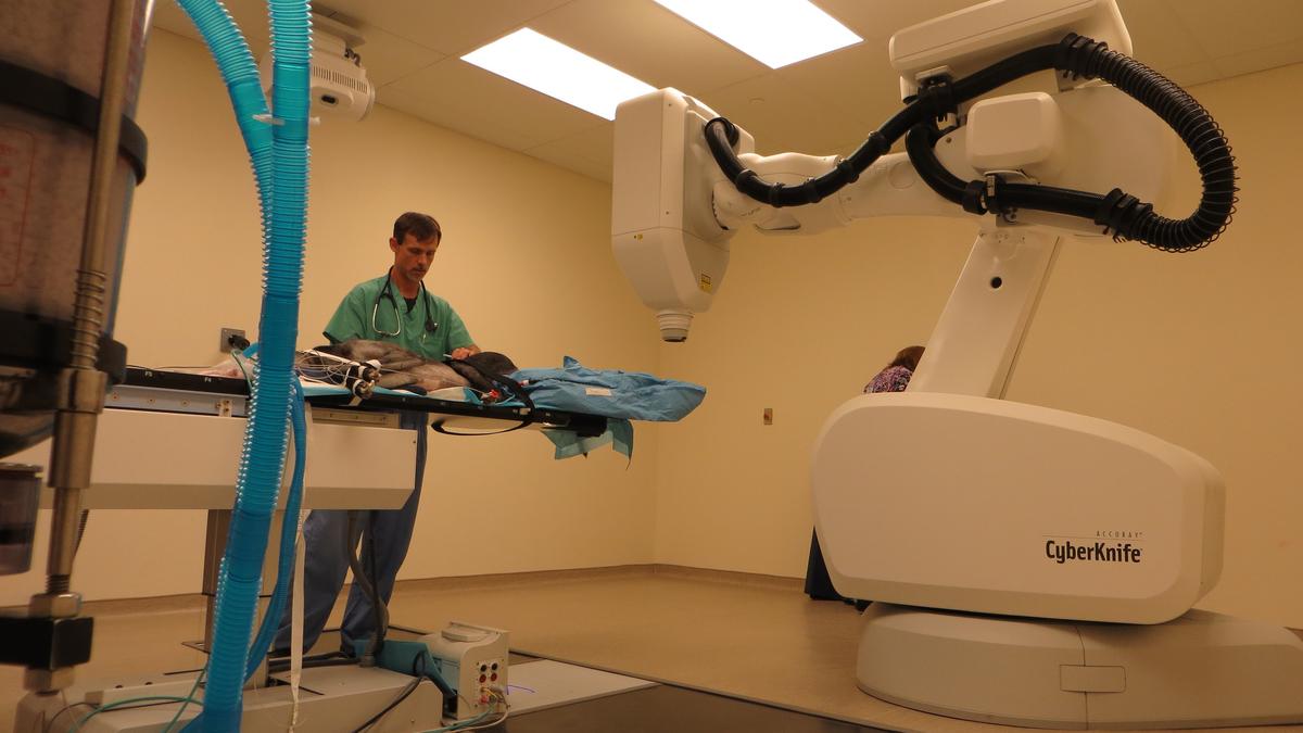 Veterinary CyberKnife Cancer Center opens in Chester County - Philadelphia Business Journal Veterinary CyberKnife Cancer Center opens in Chester County - Philadelphia Business Journal