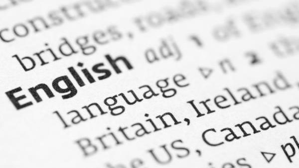 ain-t-got-no-language-skills-poor-english-proficiency-hampers-dallas