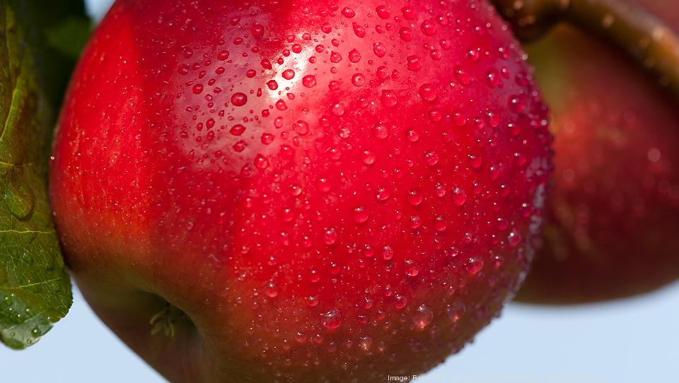 New U of M apple tastes like a Honeycrisp but is ready sooner