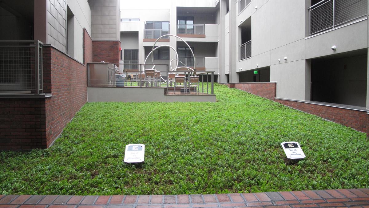 This 57unit Canton apartment complex has a green roof and a dog wash